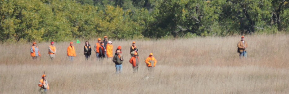 Brad and Comet running a field trial brace.